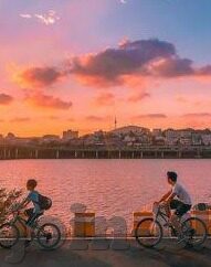 世界杯菲律宾男篮-世界杯菲律宾男篮，挑战与机遇并存的旅程