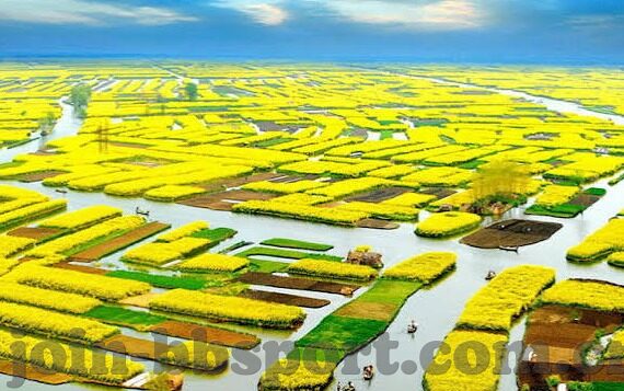 新西兰足球比分-新西兰足球比分背后的故事，从绿茵场到国际舞台的崛起之路
