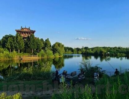 足球即时比分时-足球即时比分，连接赛场与生活的数字桥梁